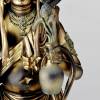 Revoltech Kannon Golden Ver. - Takeya Style