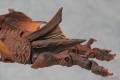 Revoltech Gyaos - Gamera: Guardian of the Universe