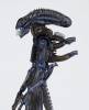 Revoltech Alien Warrior - Aliens