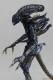 Revoltech Alien Warrior - Aliens