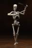 Revoltech Squellette - Jason and the Argonauts  