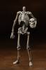 Revoltech Squellette - Jason and the Argonauts  