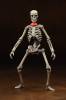 Revoltech Squellette - Jason and the Argonauts  