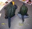 Revoltech Gamera version Gamera 2: Legion Shuurai - Gamera 2: Attack of Legion
