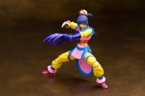 Revoltech Teiran - Street Fighter Online