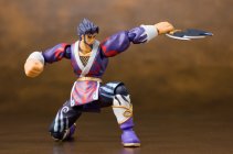 Revoltech Hiko - Street Fighter Online