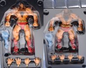 Revoltech Zangief - Street Fighter Online
